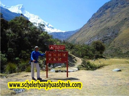 Cebollapampa 3900 m. sector Llanganuco